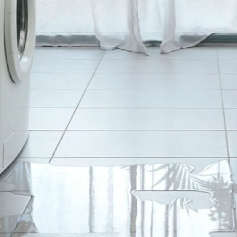 Appliance Leak Cleanup in Aurora, IN