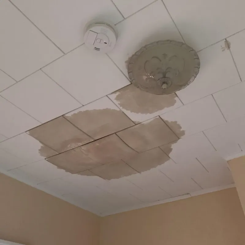 Ceiling Water Damage Repair in Aurora, IN