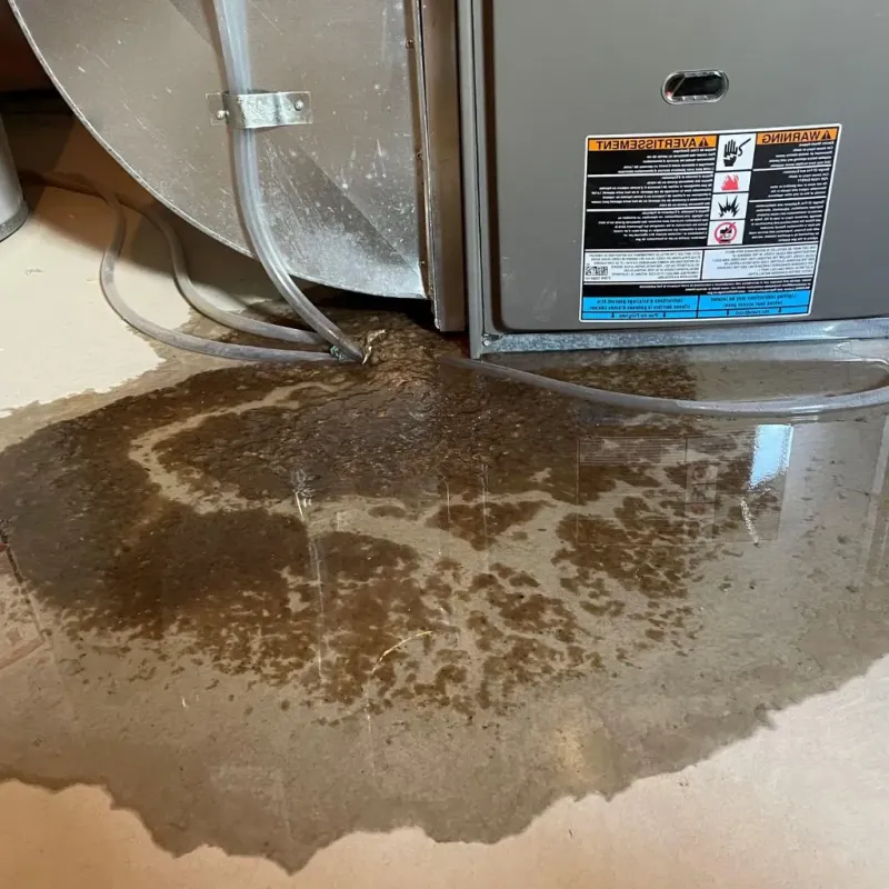Pipe Burst and Leak Restoration in Aurora, IN