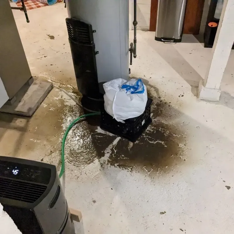 Sewage Backup Cleanup Service in Aurora, IN